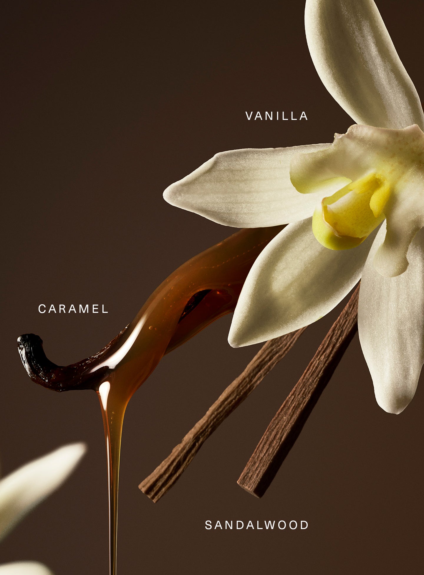 rarebeauty 香水 Rare Eau de Parfum 50mL Rare Eau de Parfum with Vanilla and Caramel - Rare Beauty by