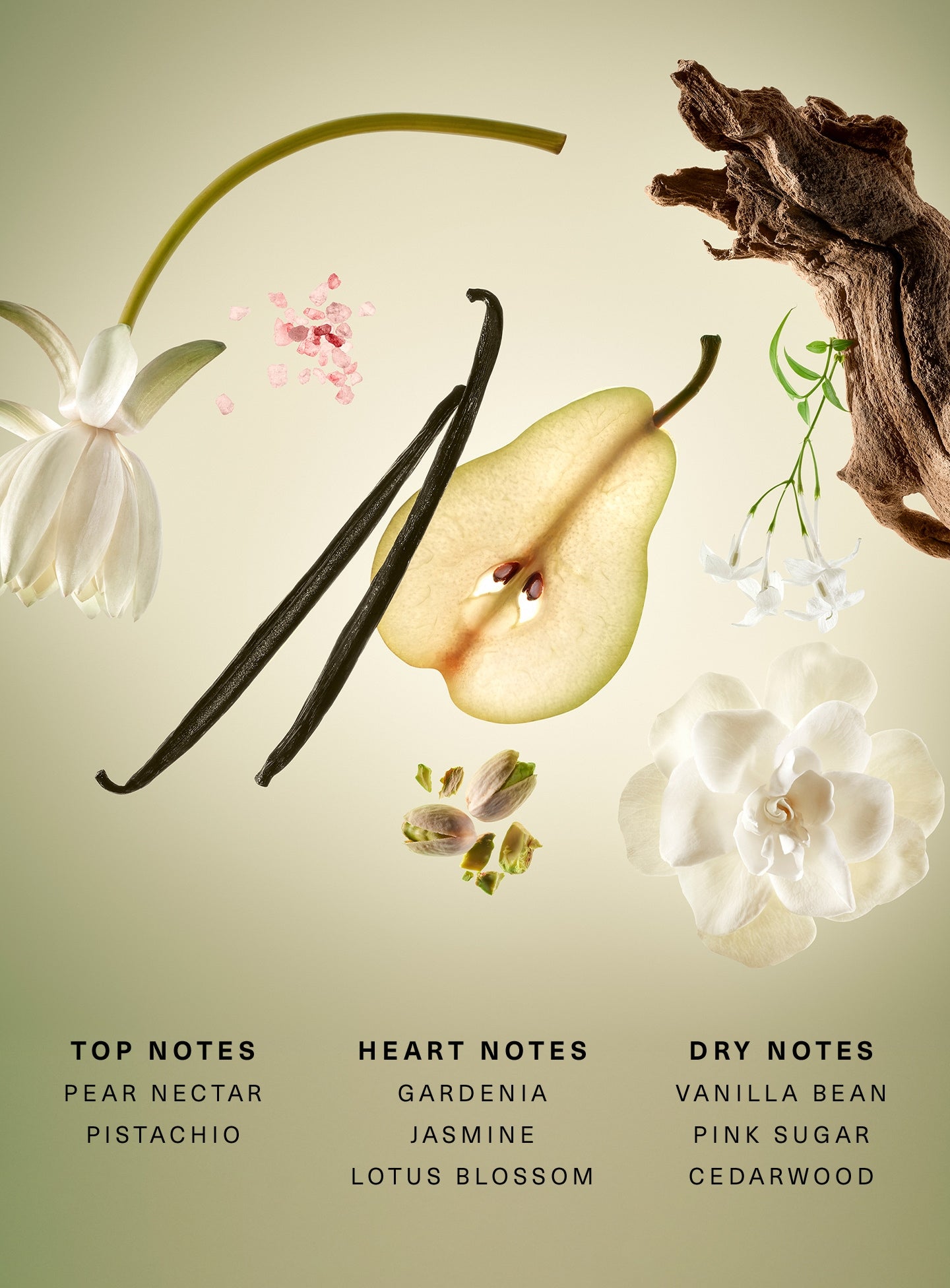 Rare Beginnings Eau de Parfum | Rare Beauty Perfume