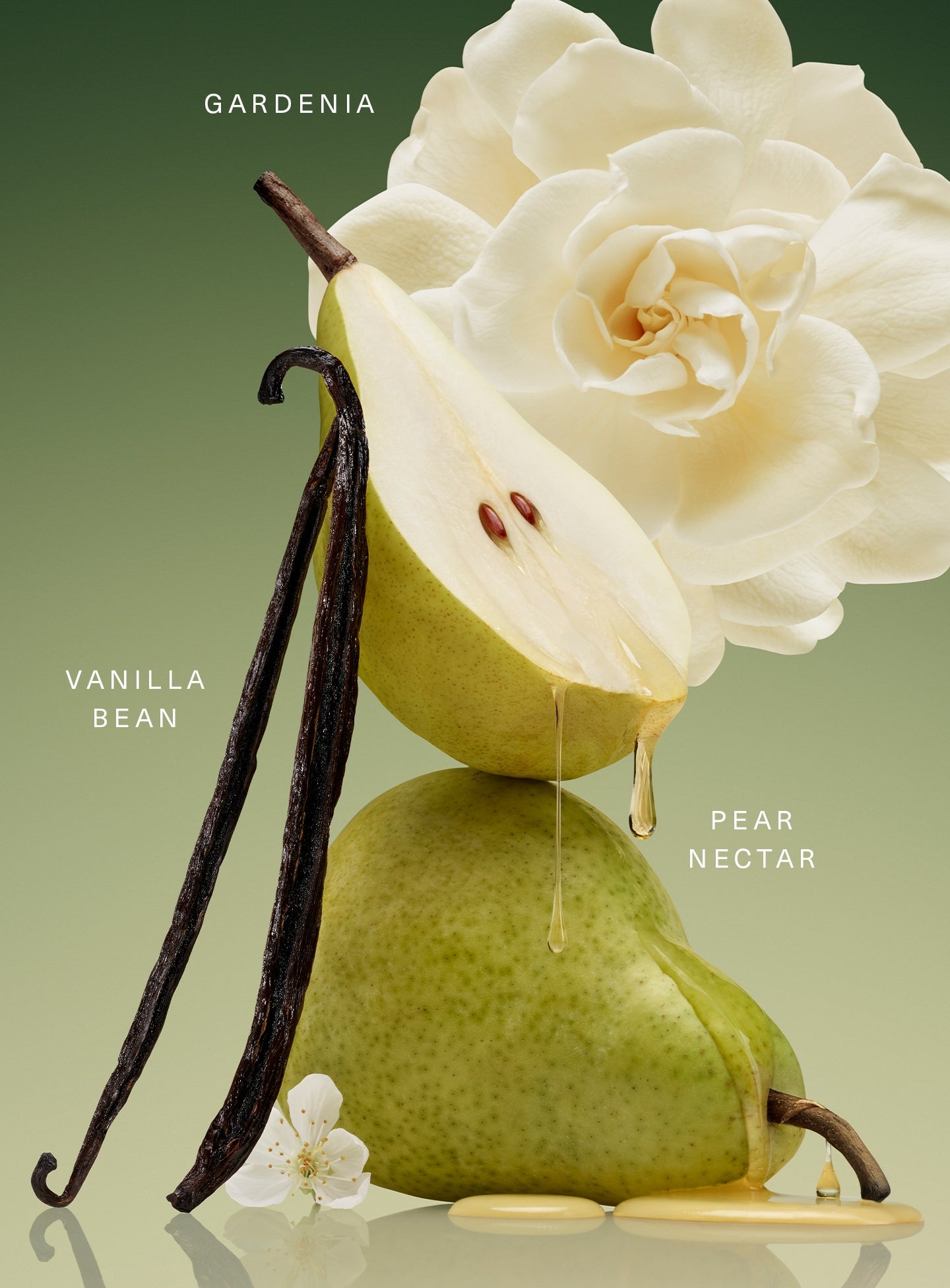 レアビューティー　新作　フレグランス　Beginnings オーデパルファム Rare Beginnings Eau de Parfum Travel Spray