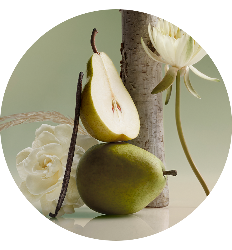 Rare Beginnings Eau de Parfum | Rare Beauty Perfume