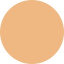 Swatch for 19 Light Medium Warm