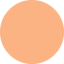 Swatch for 20 Light Medium Neutral