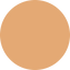 Swatch for 21 Light Medium Warm